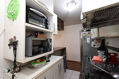 Cozinha de apartamento para alugar com 3 quartos, 55m² em Humaitá, Porto Alegre