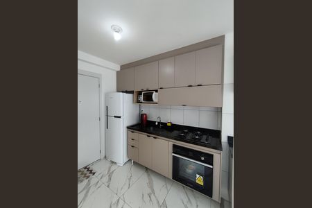Apartamento para alugar com 38m², 2 quartos e 1 vagaCozinha - Armários