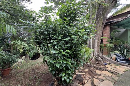 Casa para alugar com 575m², 3 quartos e 5 vagasÁrea externa