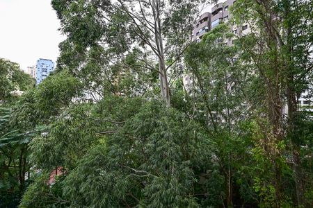 Apartamento para alugar com 163m², 3 quartos e 3 vagasVista da Suíte 1