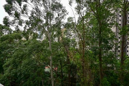 Apartamento para alugar com 163m², 3 quartos e 3 vagasVista da Suíte 2