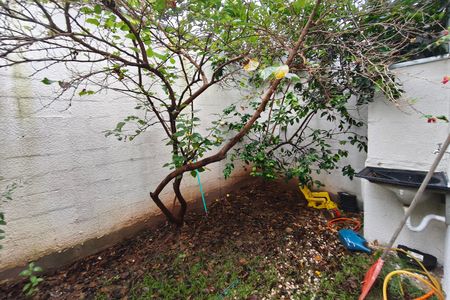 Casa à venda com 200m², 1 quarto e 4 vagasQuintal