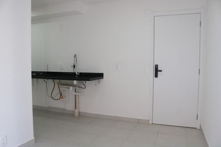 Sala de apartamento para alugar com 2 quartos, 34m² em Parque Industrial Tomas Edson, São Paulo
