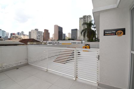 Studio para alugar com 30m², 1 quarto e sem vagaÁrea comum - Espaço Pet
