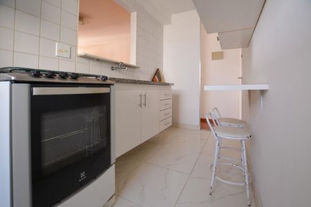 COZINHA de apartamento para alugar com 3 quartos, 63m² em Jardim Dracena, São Paulo