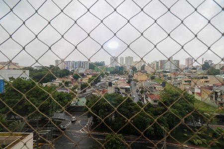 Apartamento à venda com 146m², 3 quartos e 2 vagasVista