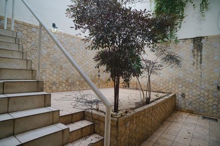 Casa para alugar com 230m², 3 quartos e 2 vagas Casa para alugar com 230m², 3 quartos e 2 vagasÁrea externa