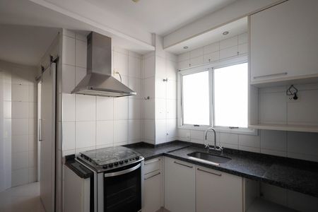 Apartamento à venda com 110m², 3 quartos e 2 vagas Apartamento à venda com 110m², 3 quartos e 2 vagasCozinha - Armários