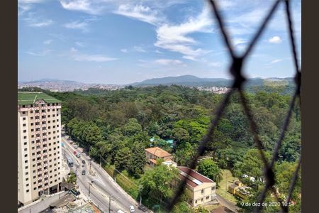 Apartamento à venda com 500m², 6 quartos e 8 vagas