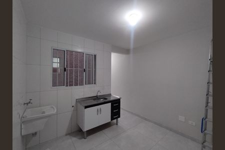 Cozinha - Torneira de apartamento para alugar com 1 quarto, 30m² em Parque Bristol, São Paulo