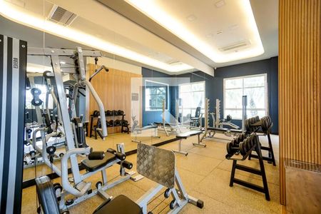 Apartamento para alugar com 76m², 2 quartos e 1 vaga Apartamento para alugar com 76m², 2 quartos e 1 vagaÁrea comum - Academia