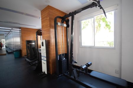 Apartamento à venda com 57m², 2 quartos e 1 vaga Apartamento à venda com 57m², 2 quartos e 1 vagaÁrea comum - Academia