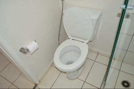 Apartamento para alugar com 67m², 2 quartos e 1 vagaBanheiro da Suíte