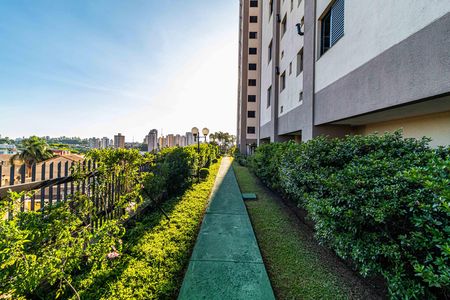 Apartamento à venda com 74m², 3 quartos e 2 vagasÁrea comum