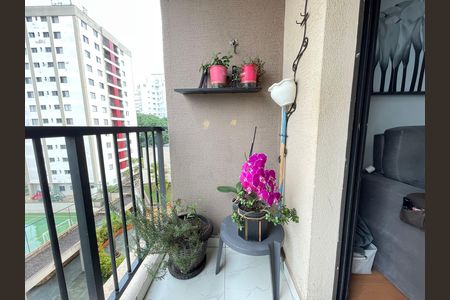 Varanda de apartamento à venda com 3 quartos, 74m² em Vila Indiana, São Paulo