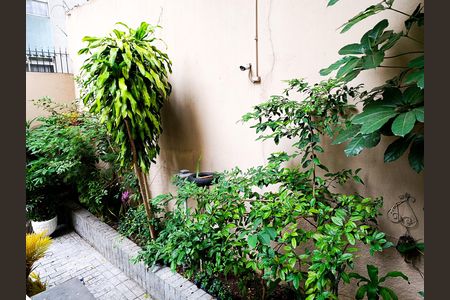 Apartamento para alugar com 59m², 2 quartos e 1 vaga Apartamento para alugar com 59m², 2 quartos e 1 vagaÁrea Comum