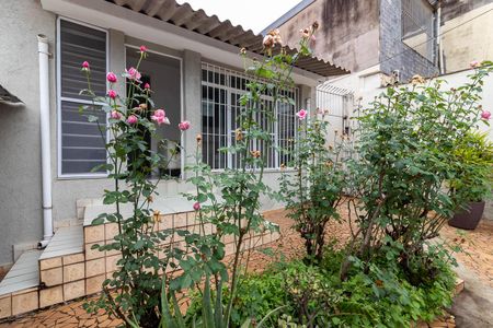Casa à venda com 220m², 2 quartos e 1 vaga Casa à venda com 220m², 2 quartos e 1 vagaQuintal