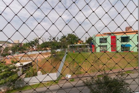 Apartamento à venda com 3 quartos, 50m² em Castelo, Belo Horizonte