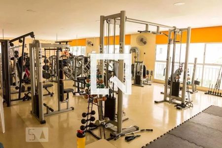 Apartamento para alugar com 45m², 2 quartos e 1 vaga Apartamento para alugar com 45m², 2 quartos e 1 vagaÁrea comum - Academia