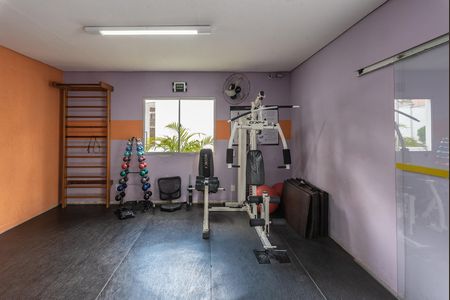 Apartamento para alugar com 50m², 2 quartos e 1 vaga Apartamento para alugar com 50m², 2 quartos e 1 vagaÁrea comum - Academia