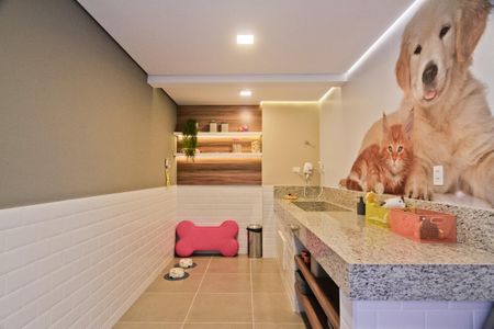 Apartamento para alugar com 28m², 1 quarto e sem vaga Apartamento para alugar com 28m², 1 quarto e sem vagaEspaço pet