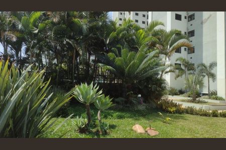 Apartamento à venda com 63m², 3 quartos e 1 vaga