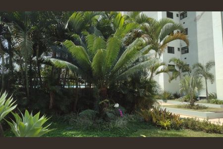 Apartamento à venda com 63m², 3 quartos e 1 vaga