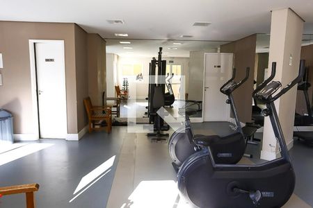 Apartamento para alugar com 52m², 2 quartos e 1 vaga Apartamento para alugar com 52m², 2 quartos e 1 vagaÁrea comum - Academia