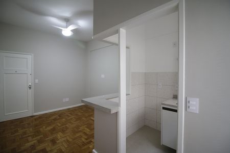 sala de apartamento para alugar com 1 quarto, 49m² em Tijuca, Rio de Janeiro