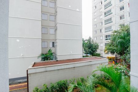 Apartamento à venda com 58m², 2 quartos e 1 vaga Apartamento à venda com 58m², 2 quartos e 1 vagaVista Quarto 2