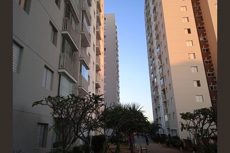Apartamento à venda com 60m², 3 quartos e 1 vaga