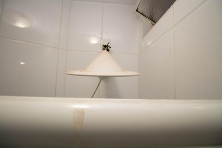 Apartamento para alugar com 98m², 3 quartos e sem vaga Apartamento para alugar com 98m², 3 quartos e sem vagaBanheiro Social