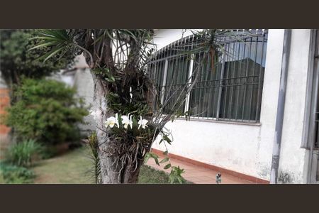 Casa à venda com 486m², 3 quartos e 5 vagas