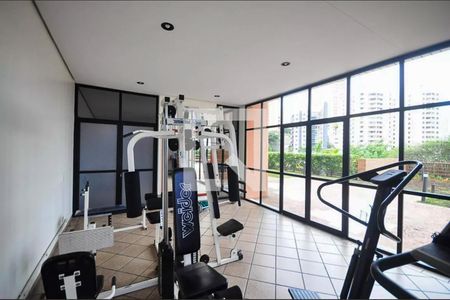 Apartamento para alugar com 137m², 3 quartos e 3 vagas Apartamento para alugar com 137m², 3 quartos e 3 vagasAcademia