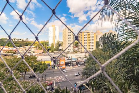 Apartamento para alugar com 3 quartos, 62m² em Jabaquara, São Paulo