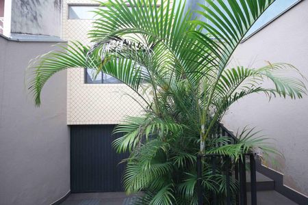 Casa à venda com 330m², 3 quartos e 6 vagas