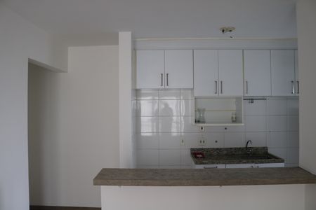 Apartamento para alugar com 55m², 2 quartos e 2 vagasCozinha