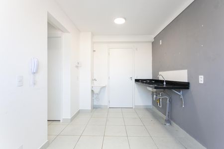 Sala de apartamento para alugar com 2 quartos, 32m² em Vila Carmosina, São Paulo