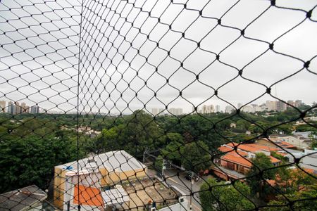Apartamento para alugar com 297m², 4 quartos e 4 vagas Apartamento para alugar com 297m², 4 quartos e 4 vagasVista da Varanda da Sala de Estar e Jantar