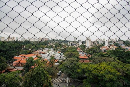 Apartamento para alugar com 297m², 4 quartos e 4 vagas Apartamento para alugar com 297m², 4 quartos e 4 vagasVista da Varanda da Sala de Estar e Jantar