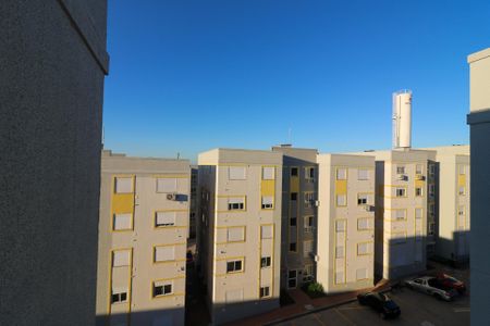 Vista da Sala de apartamento para alugar com 2 quartos, 50m² em Lomba do Pinheiro, Porto Alegre