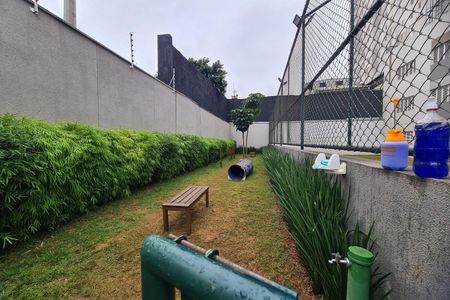 Apartamento à venda com 67m², 2 quartos e 1 vaga Apartamento à venda com 67m², 2 quartos e 1 vagaÁrea comum - Pet
