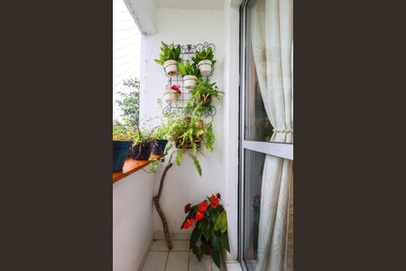 Varanda da Sala de apartamento à venda com 2 quartos, 57m² em Chacara Nossa Senhora do Bom Conselho, São Paulo
