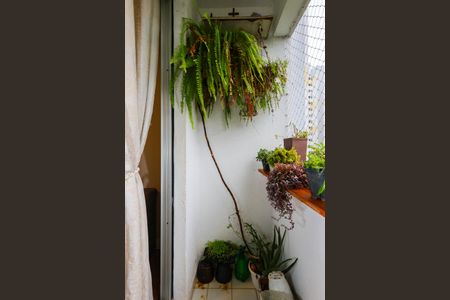 Varanda da Sala de apartamento à venda com 2 quartos, 57m² em Chacara Nossa Senhora do Bom Conselho, São Paulo