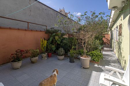 quintal e área verde_1 de casa à venda com 3 quartos, 400m² em Vila Moinho Velho, São Paulo