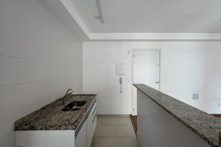 Apartamento para alugar com 46m², 2 quartos e 1 vagaCozinha 