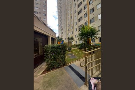 Apartamento para alugar com 45m², 2 quartos e 1 vaga Apartamento para alugar com 45m², 2 quartos e 1 vagaPlayground