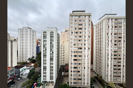 Vista de apartamento para alugar com 1 quarto, 32m² em Moema, São Paulo
