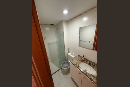 Banheiro de apartamento para alugar com 2 quartos, 66m² em Botafogo, Rio de Janeiro