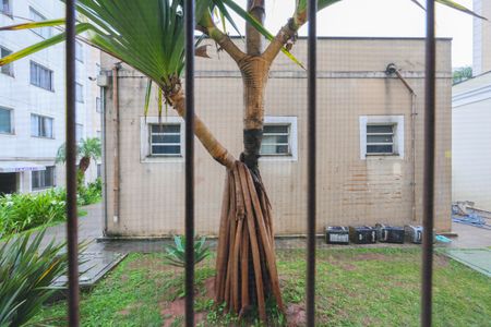Vista do Quarto 1 de apartamento para alugar com 2 quartos, 54m² em Parque Munhoz, São Paulo
